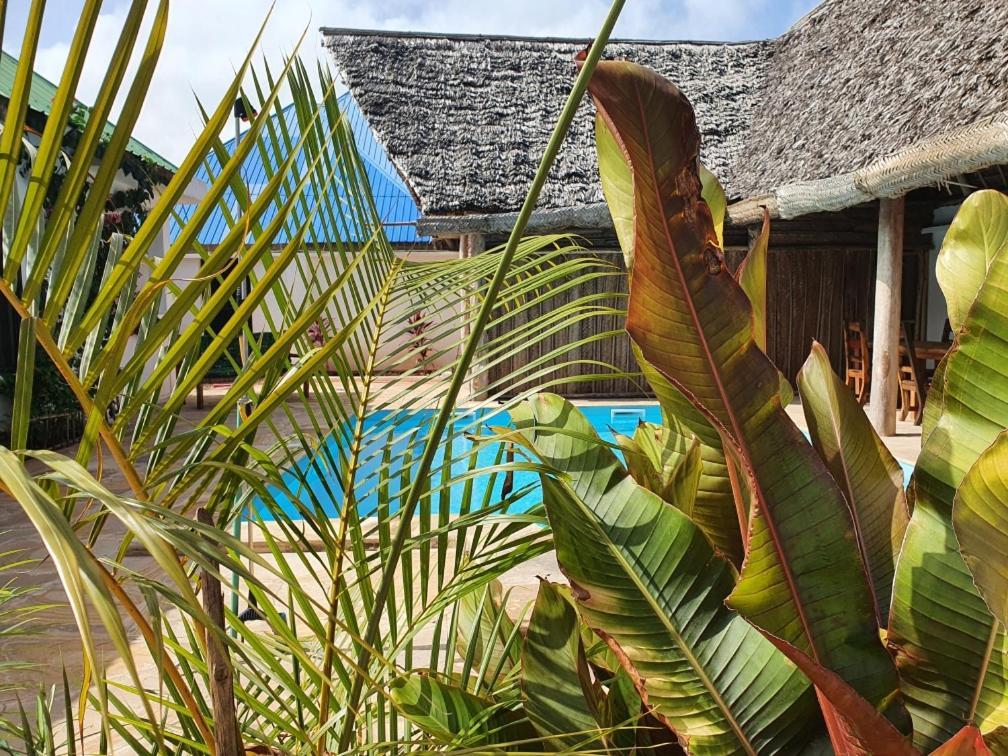 Villa Kumi Nungwi Extérieur photo